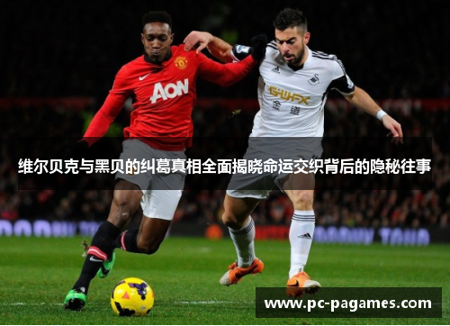 维尔贝克与黑贝的纠葛真相全面揭晓命运交织背后的隐秘往事 维尔贝克与黑贝的纠葛真相全面揭晓命运交织背后的隐秘往事