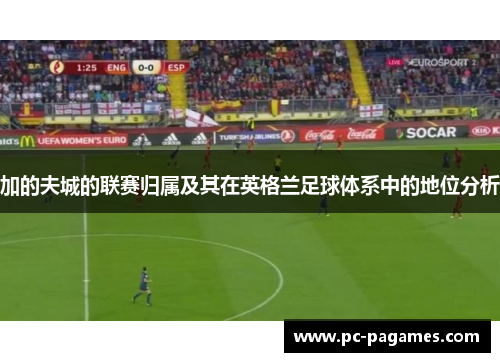 加的夫城的联赛归属及其在英格兰足球体系中的地位分析 加的夫城的联赛归属及其在英格兰足球体系中的地位分析