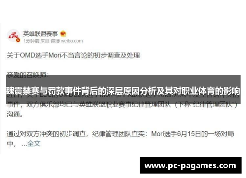 魏震禁赛与罚款事件背后的深层原因分析及其对职业体育的影响