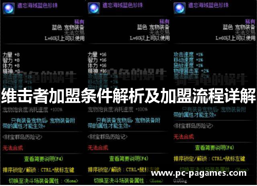 维击者加盟条件解析及加盟流程详解