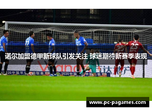 诺尔加盟德甲新球队引发关注 球迷期待新赛季表现